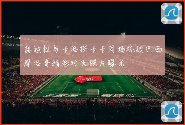 赫迪拉与卡洛斯卡卡同场观战巴西摩洛哥精彩对决照片曝光